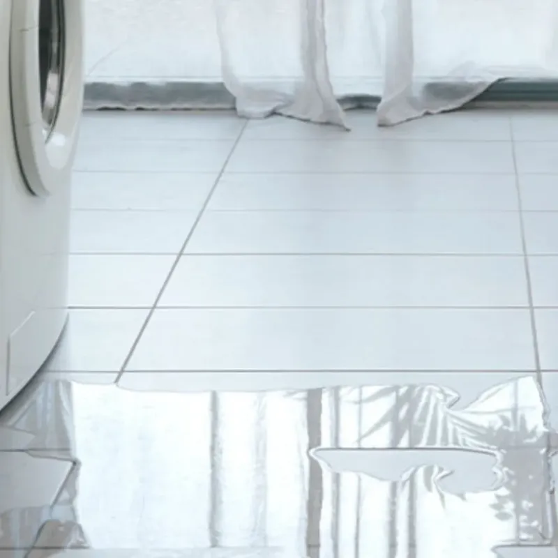 Appliance Leak Cleanup in Haslett, MI