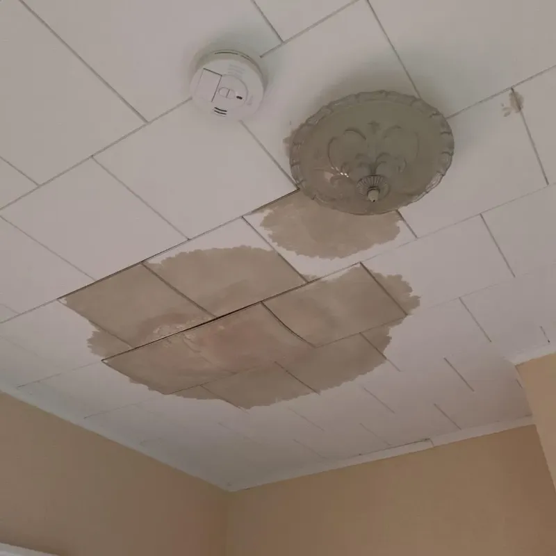 Ceiling Water Damage Repair in Haslett, MI
