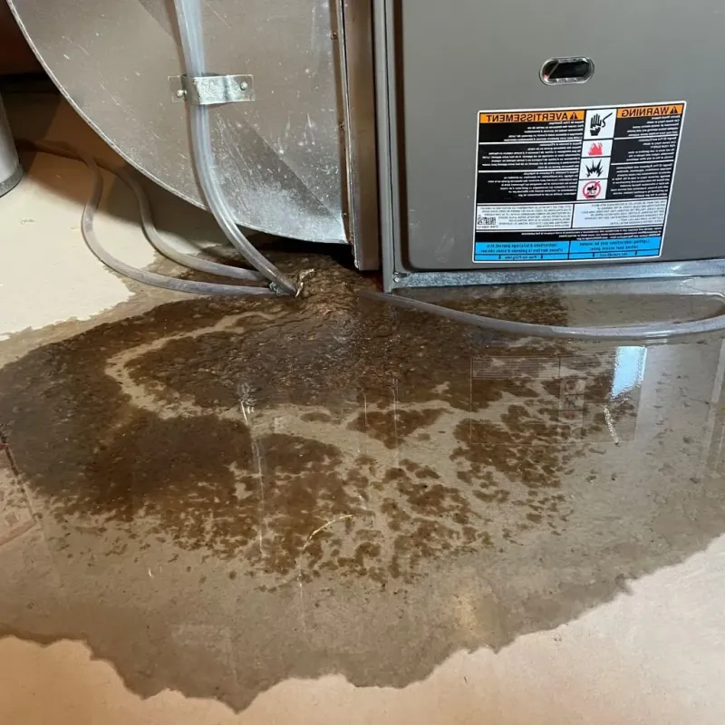 Pipe Burst and Leak Restoration in Haslett, MI