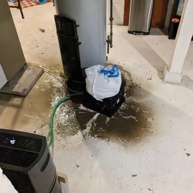 Sewage Backup Cleanup Service in Haslett, MI